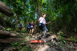 BIB: 
                            <button type="button" onclick="openModal(19388111)" class="btn btn-primary btn-sm float-right btn-popup" data-toggle="modal" data-target=".modal-high-quality">
                        <i class="fas fa-shopping-cart"></i> Add to Cart
                    </button>
                                            <button type="button" onclick="isThisMe(19388111, true)" class="btn btn-success btn-sm float-right btn-popup btn-isme hidden" data-toggle="tooltip" data-placement="bottom" title="นี่คือรูปของคุณใช่ไหม คลิกที่นี่เพื่อเอาเข้าอัลบั้ม">
                        <i class="fas fa-plus"></i> Add to album
                    </button>
                    <button type="button" onclick="isThisMe(19388111, false)" class="btn btn-warning btn-sm float-right btn-popup btn-isnotme hidden">
                        <i class="fas fa-ban"></i> Remove from album
                    </button>